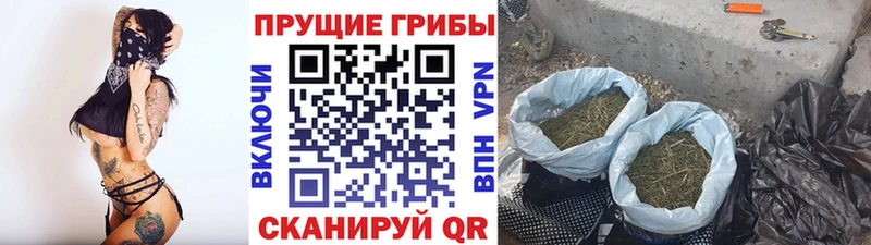 наркота  Кирсанов  ссылка на мегу сайт  Галлюциногенные грибы Magic Shrooms 