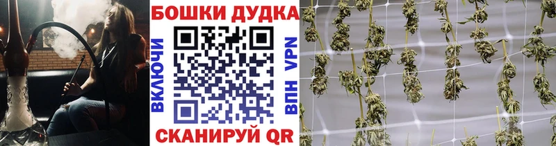 Марихуана планчик дарнет шоп Кирсанов